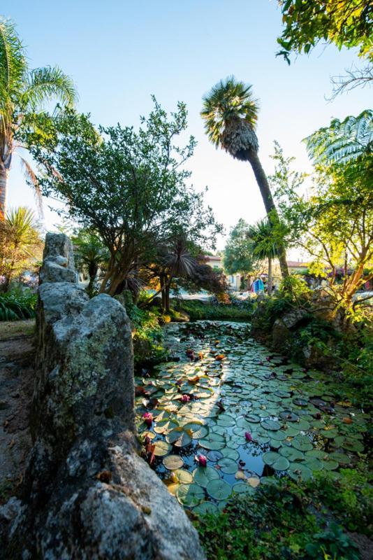 Quinta Da Malaposta - Boutique Hotel & Eventos 빌라노바 데 세르베이라 외부 사진